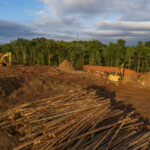 Maximizing Land Potential Through Professional Land Clearing